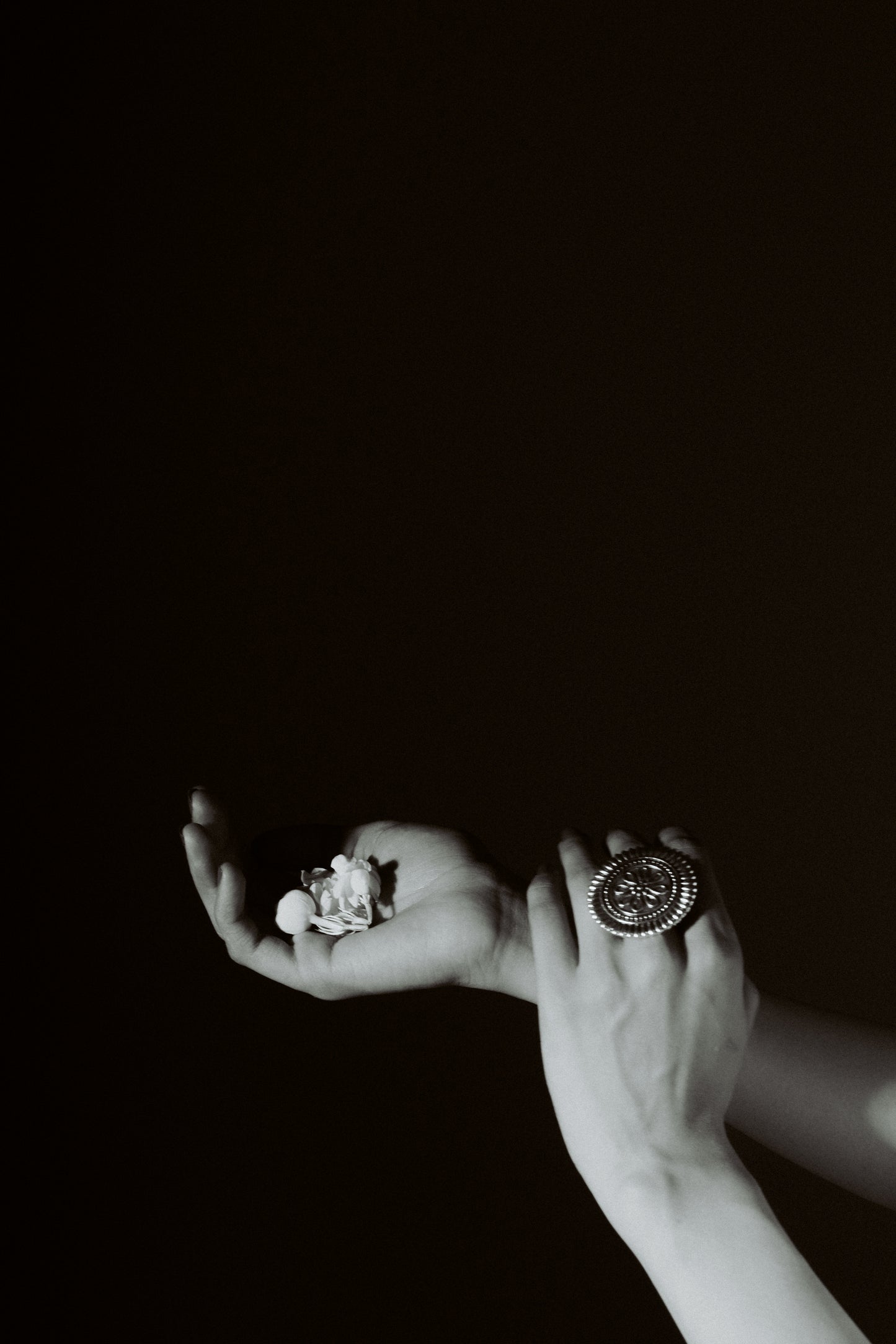 Reha Ring