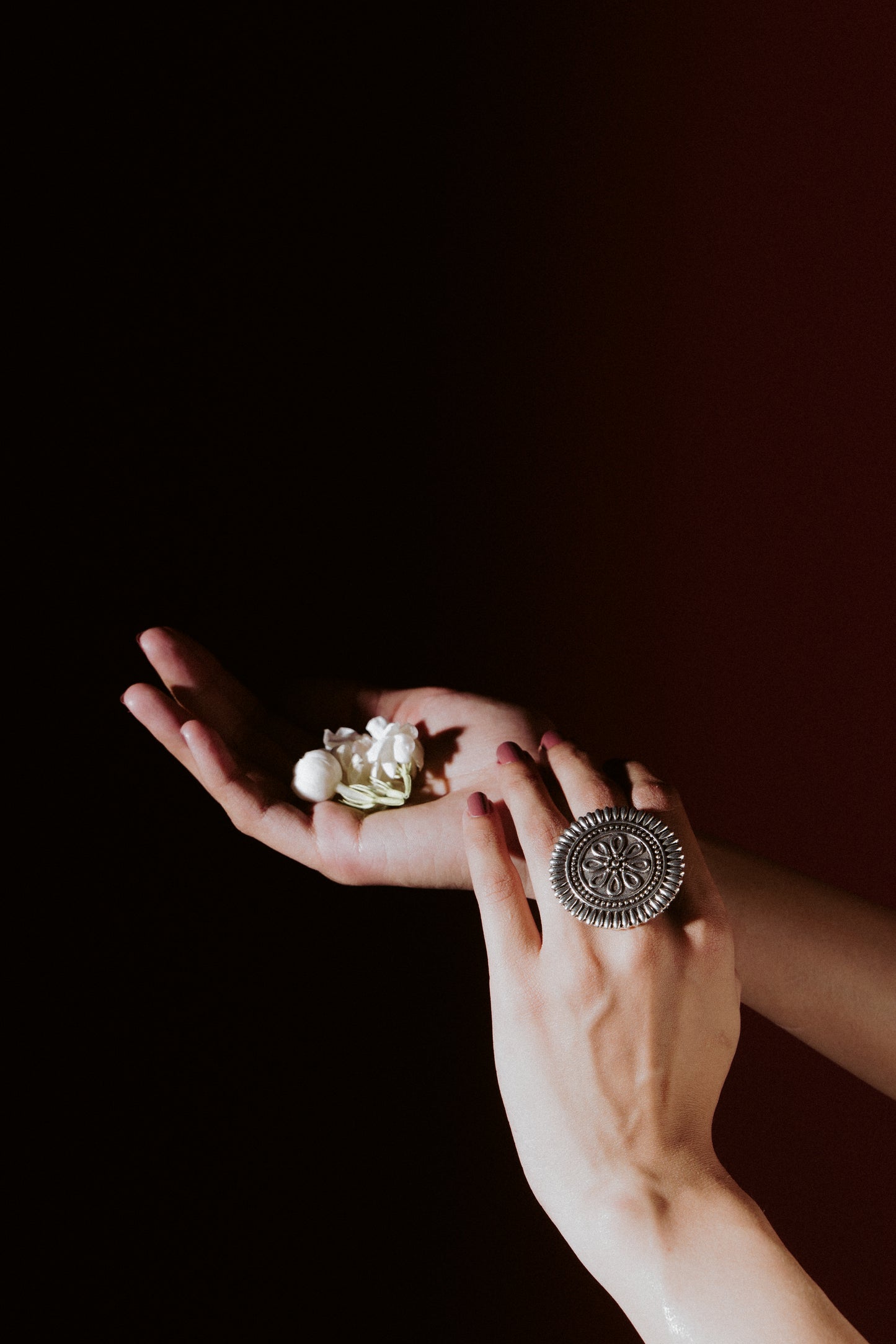 Reha Ring