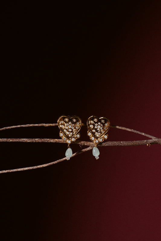 Dilraaz Earrings